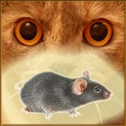 Скачать бесплатно Мышь на экране для кота - Игры для кошек [Мод меню] 24.0 - RUS apk на Андроид