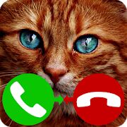 Скачать бесплатно звонок поддельный кот игра [Мод меню] 4.0 - RUS apk на Андроид