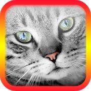 Скачать бесплатно Переводчик на кошачий язык [Мод открытые уровни] 5.5 - RUS apk на Андроид