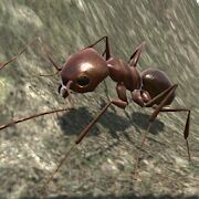 Скачать бесплатно Ant Simulation 3D - Insect Survival Game [Мод меню] 3.3.4 - Русская версия apk на Андроид