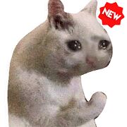Скачать бесплатно Новые смешные наклейки мем кошки WAStickerApps [Все функции] 1.7.0 - RU apk на Андроид