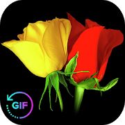 Скачать бесплатно Flowers And Roses Animated Images Gif pictures 4K [Максимальная] 8.1.6 - RU apk на Андроид