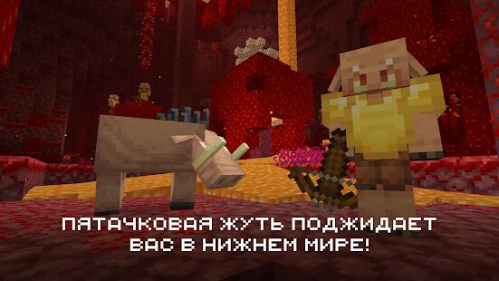 Скачать бесплатно Майнкрафт [Мод безлимитные монеты] 1.16.221.01 - RU apk на Андроид