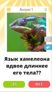 Скачать бесплатно Да или нет, вопрос ответ. Викторина без интернета! [Мод открытые уровни] 3.5 - RU apk на Андроид