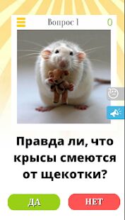 Скачать бесплатно Да или нет, вопрос ответ. Викторина без интернета! [Мод открытые уровни] 3.5 - RU apk на Андроид
