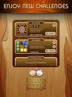 Скачать бесплатно Woody Block Puzzle ® [Мод много монет] 2.2.0 - Русская версия apk на Андроид