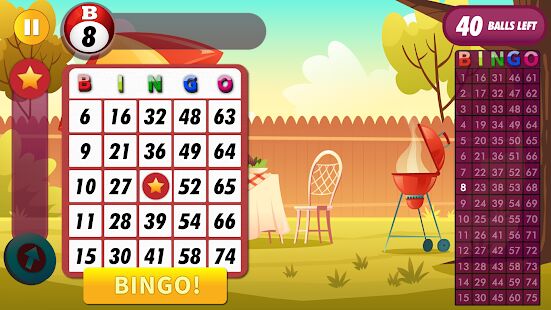Скачать бесплатно Bingo Places - Offline Classic Game [Мод много монет] 1.0.1 - RU apk на Андроид