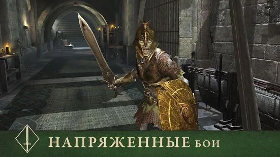 Скачать бесплатно The Elder Scrolls: Blades [Мод безлимитные монеты] 1.13.0.1320225 - RUS apk на Андроид