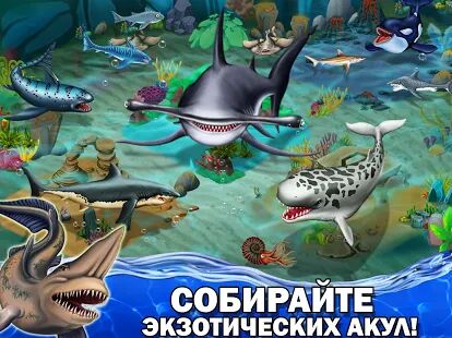 Скачать бесплатно Shark World [Мод много денег] 11.92 - Русская версия apk на Андроид