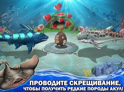 Скачать бесплатно Shark World [Мод много денег] 11.92 - Русская версия apk на Андроид