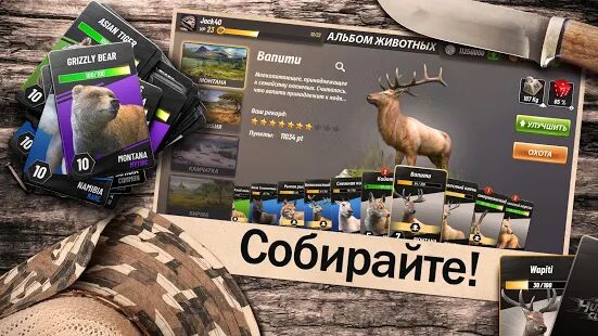 Скачать бесплатно Hunting Clash: Охота на животных. Игра про охоту [Мод открытые уровни] 2.37 - Русская версия apk на Андроид