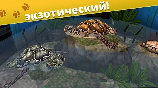 Скачать бесплатно Мир питомцев — Приют для животных [Мод открытые уровни] 5.6.10 - RU apk на Андроид