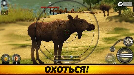 Скачать бесплатно Wild Hunt:Sport Hunting Games. Спортивная Охота 3D [Мод открытые уровни] 1.439 - RUS apk на Андроид