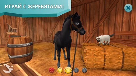 Скачать бесплатно Star Stable Horses [Мод безлимитные монеты] 2.83.1 - RU apk на Андроид