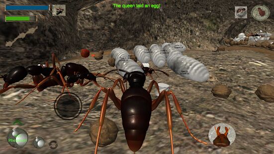 Скачать бесплатно Ant Simulation 3D - Insect Survival Game [Мод меню] 3.3.4 - Русская версия apk на Андроид