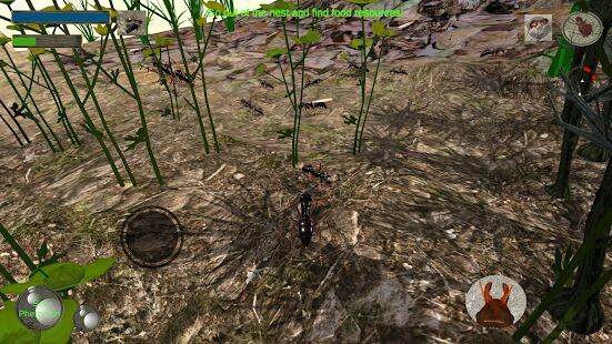 Скачать бесплатно Ant Simulation 3D - Insect Survival Game [Мод меню] 3.3.4 - Русская версия apk на Андроид