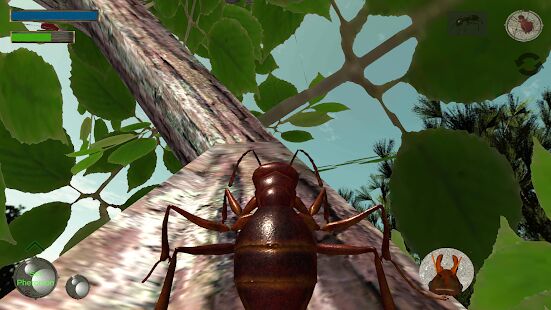 Скачать бесплатно Ant Simulation 3D - Insect Survival Game [Мод меню] 3.3.4 - Русская версия apk на Андроид