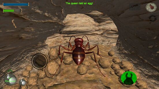 Скачать бесплатно Ant Simulation 3D - Insect Survival Game [Мод меню] 3.3.4 - Русская версия apk на Андроид