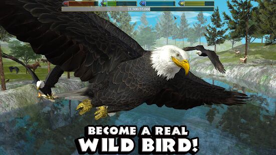 Скачать бесплатно Ultimate Bird Simulator [Мод открытые покупки] Зависит от устройства - RUS apk на Андроид