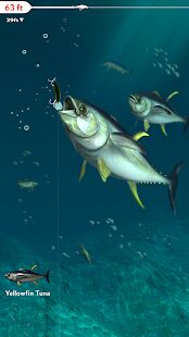 Скачать бесплатно Rapala Fishing - Daily Catch [Мод много денег] 1.6.24 - RU apk на Андроид