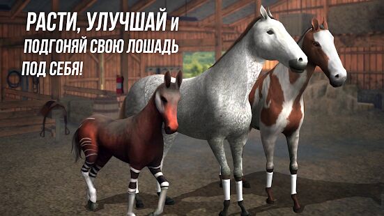 Скачать бесплатно Photo Finish Horse Racing [Мод меню] 90.3 - RUS apk на Андроид