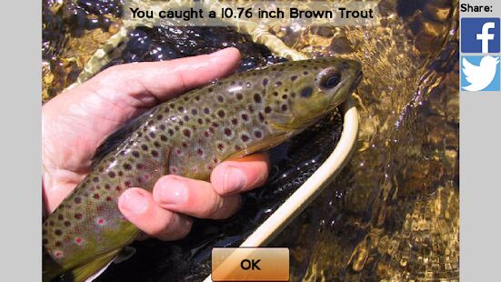 Скачать бесплатно Fly Fishing Simulator HD [Мод меню] 5226 - RUS apk на Андроид