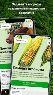 Скачать бесплатно Direct.Farm - агро сообщество [Полная] 2.3.61 - Русская версия apk на Андроид