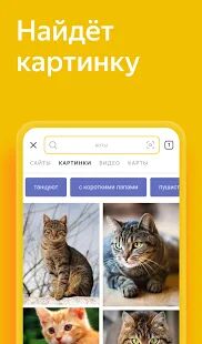 Скачать бесплатно Яндекс — с Алисой [Разблокированная] 21.33 - Русская версия apk на Андроид