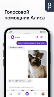 Скачать бесплатно Яндекс (бета) [Без рекламы] 21.50 - RUS apk на Андроид
