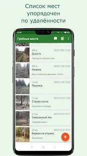 Скачать бесплатно Навигатор Грибника Lite [Все функции] 3.7.2-Lite - Русская версия apk на Андроид