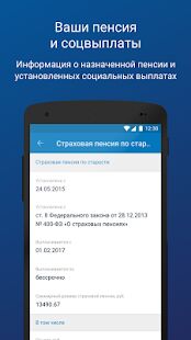 Скачать бесплатно ПФР Электронные сервисы [Все функции] 1.2.3 - RUS apk на Андроид