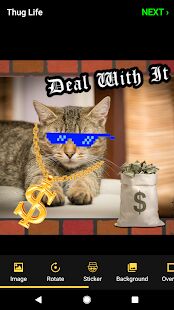 Скачать бесплатно Thug Life Stickers: Pics Editor, Photo Maker, Meme [Все функции] 4.5.56 - RUS apk на Андроид