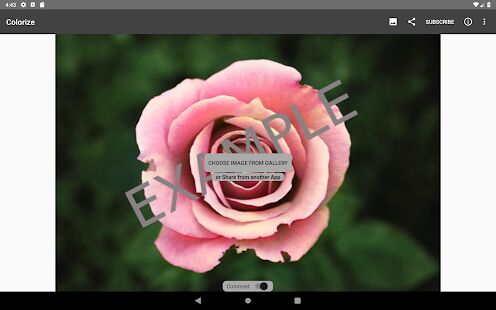 Скачать бесплатно Colorize Images [Все функции] 3.0.11 - RU apk на Андроид